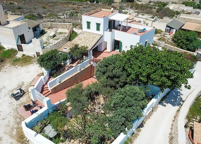 Cavallo 파뷔냐나도