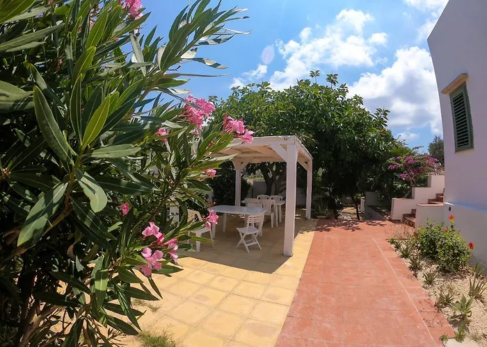 Cavallo 法维尼亚纳