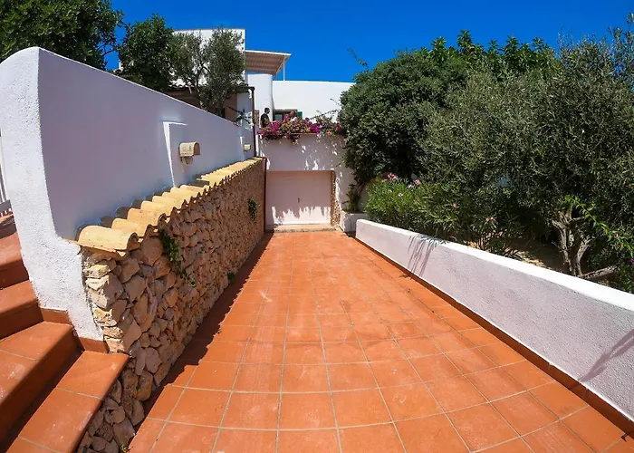 Cavallo * 法维尼亚纳